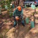 man drilling plant holes