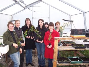 group of women