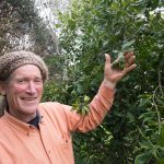 photo of David Holmgren